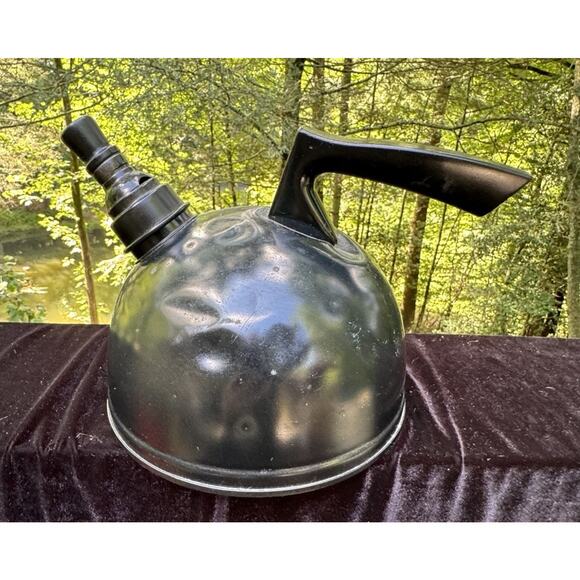 Beautifully Hand Painted Tea Kettle Pot Folk Art Farm Barn Rustic Bar Cave NC - Picture 5 of 12